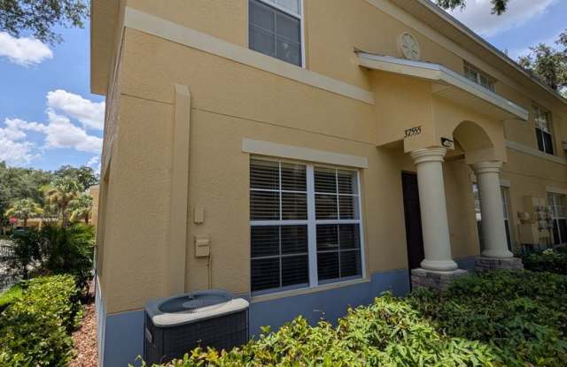 3 Bed 2.5 Bath In Zephyrhills photos photos