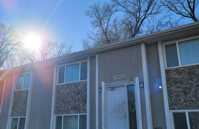 1525 S Palmetto St Apt. C - 1525 South Palmetto Street, Sioux City, IA 51106