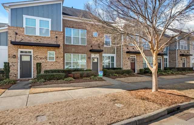 3819 Willow Green Place - 3819 Willow Green Place, Charlotte, NC 28206