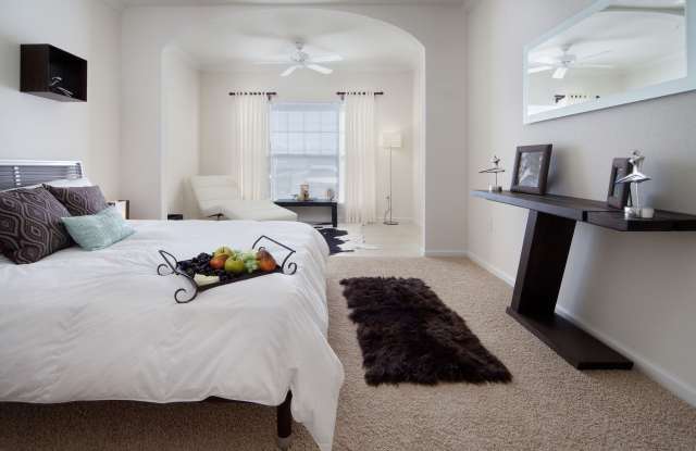 The Palmer photos photos