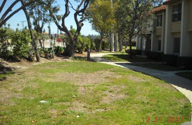 4521 Trevino Way Gallery 2