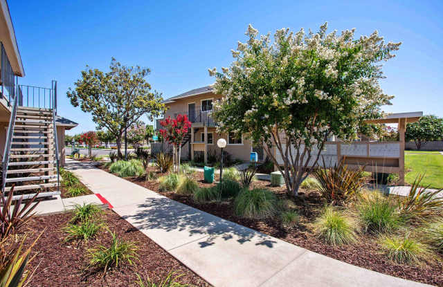Village Ceres Apartments Gallery 2