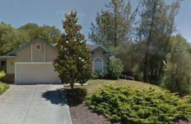 1000 Teal Court - 1000 Teal Court, Auburn, CA 95603