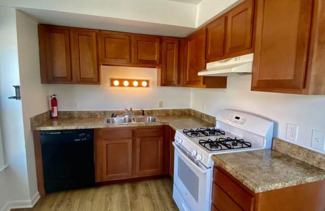 Four Bedroom, Two Full Bathroom - Steps to EMU's Campus - 408 Perrin Street, Ypsilanti, MI 48197