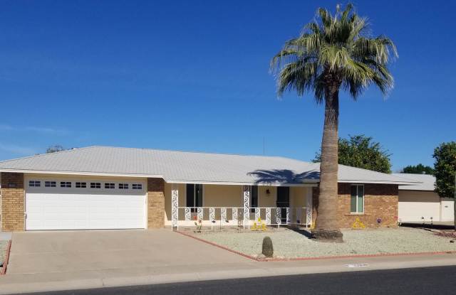 10008 W PINEAIRE Drive - 10008 West Pineaire Drive, Sun City, AZ 85351