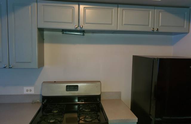 4529 South Drexel Boulevard #3E - 3E Gallery 4