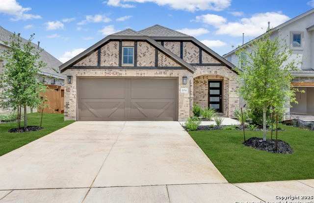 2054 Flametree photos photos