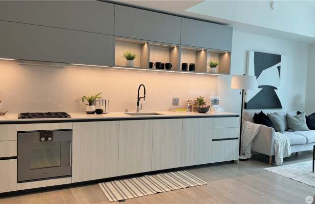 1Bd/1Ba Bellevue Condo Gallery 4
