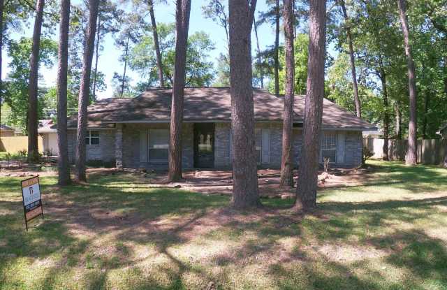 2015 Laurel Springs Lane - 2015 Laurel Springs Lane, Houston, TX 77339