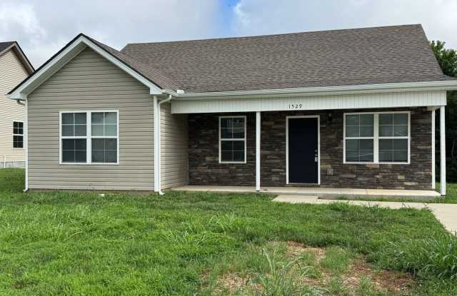 Charming 3 bed 2 bath home in Smyrna near I24 and I840 photos photos Charming 3 bed 2 bath home in Smyrna near I24 and I840 photos photos