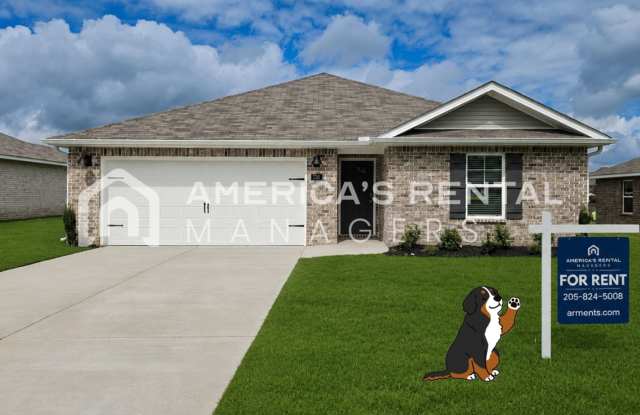 New Construction Home for Rent - Available NOW! Gallery 1