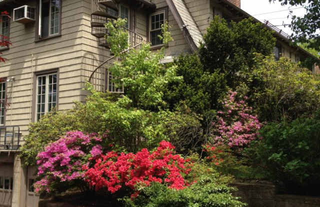 87 Atwood photos photos 87 Atwood photos photos