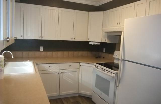 Nice 3 bedroom 1 bath home in SE Albany Gallery 3