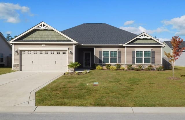 516 New Hanover Trail - 516 New Hanover Trail, Piney Green, NC 28546