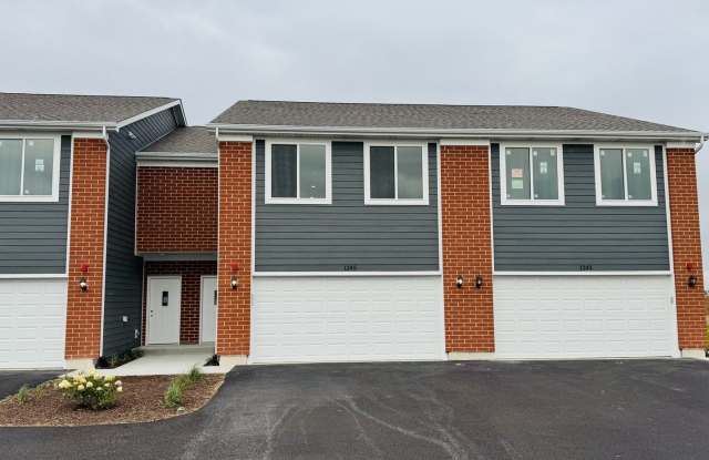 1245 Gillespie Lane - 1245 Gillespie Lane, Kendall County, IL 60560