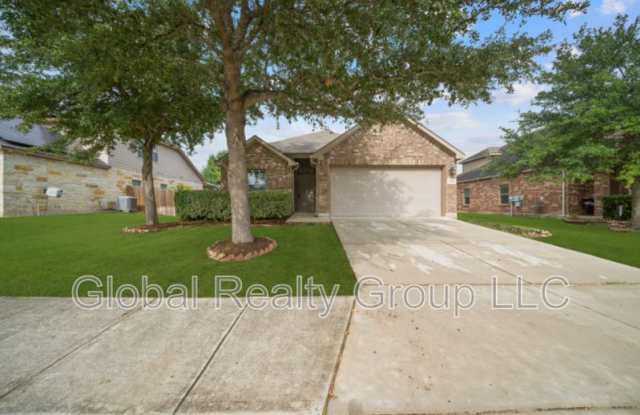 3113 Muntjac photos photos