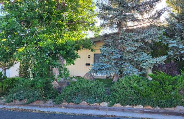 11261 Green Mountain St - 2BR 1BA house in Stead - Available July 15th! photos photos