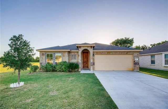 3010  Hanstrom CT - 3010 Hanstrom Court, Hutto, TX 78634