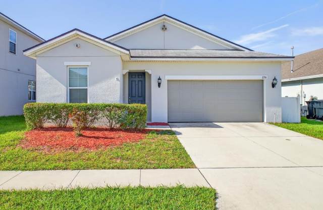 236 BELLA VERANO WAY photos photos
