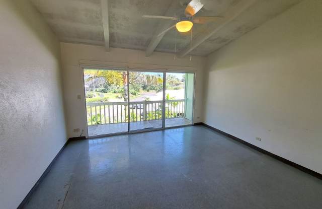 Large Studio w/Lanai photos photos