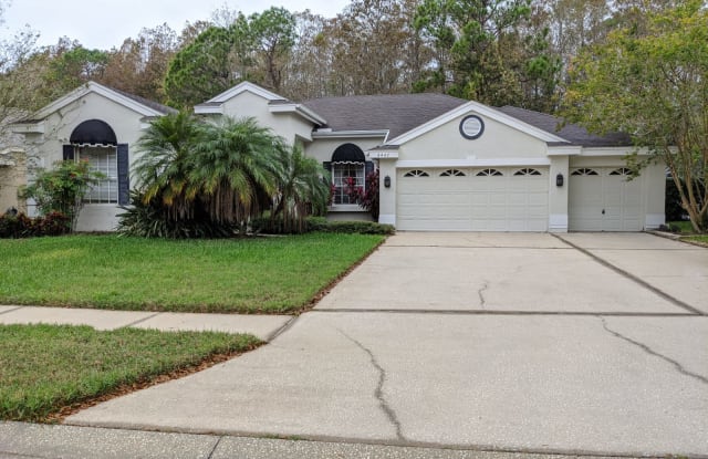 4447 Fallbrook Boulevard - 4447 Fallbrook Boulevard, East Lake, FL 34685