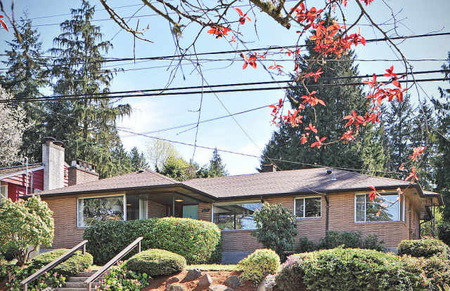 Mid Century Modern in Maple Leaf photos photos