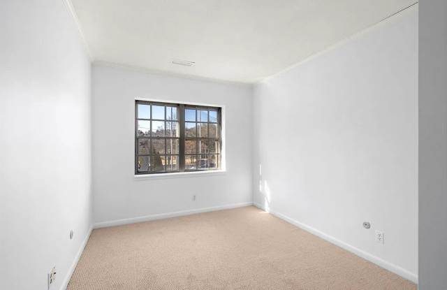 5 Lake Shore Ter Apt 3 Gallery 1
