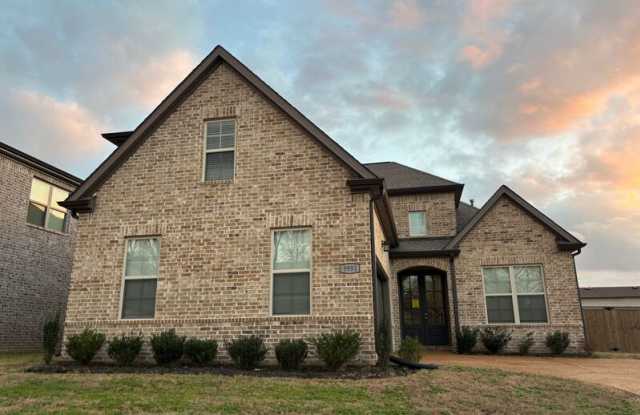 9991 Messana Cv photos photos