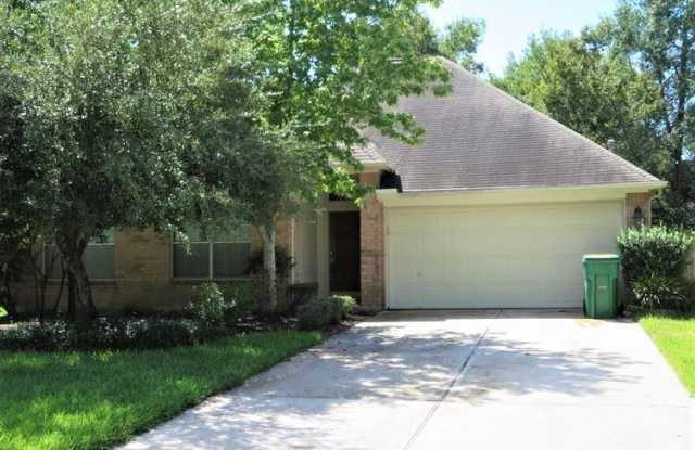 183 S Delta Mill Circle - 183 South Delta Mill Circle, The Woodlands, TX 77385