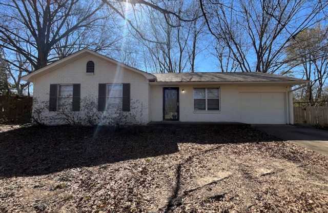 Renovated 3 Bedroom 1 Bath Home for Rent! photos photos