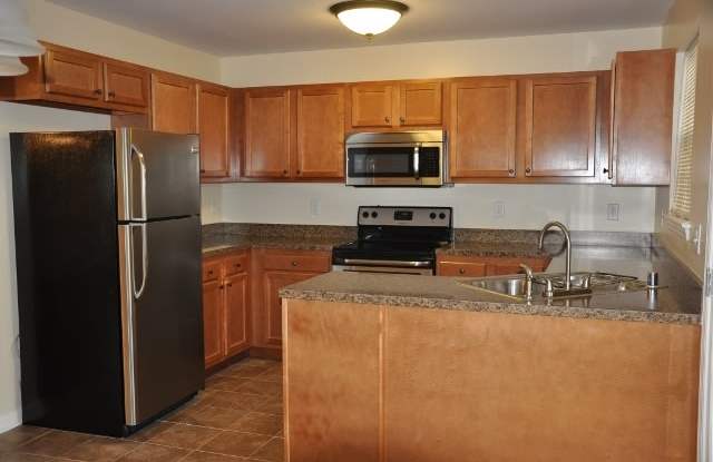 Barbaro - Pre-Leasing Now for the Fall Semester 2027 Gallery 4