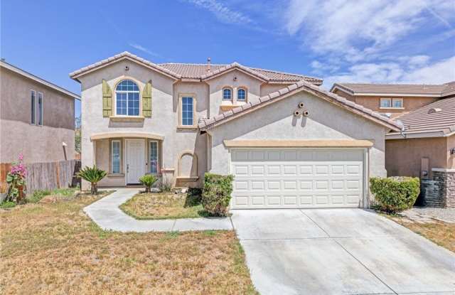 14304 Gray Fox photos photos