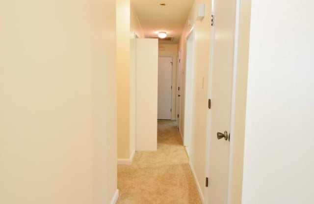 Move In Ready-New Interior Paint- 3 Bedroom 2 Bathroom- No Pets Gallery 4