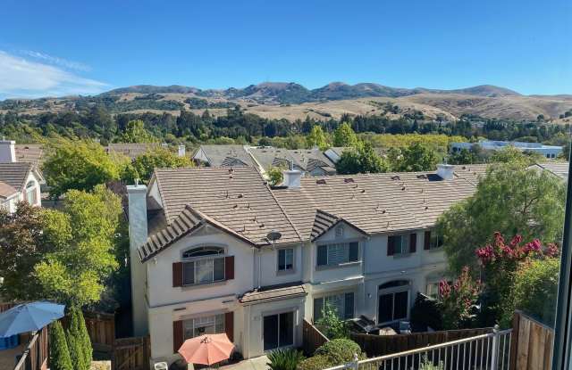 171 Shadowhill Cir Gallery 2