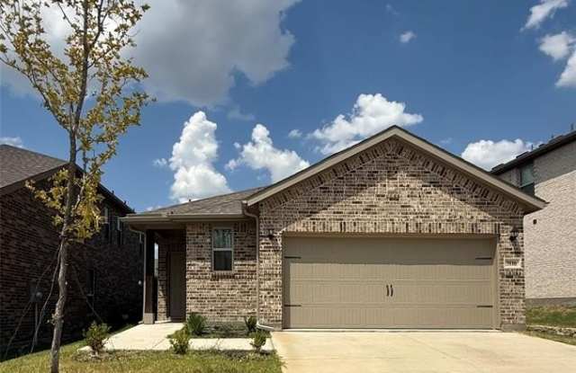 3116 Sedge Grass Drive photos photos