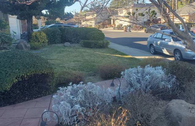 Classic 4/2 charmer in Martinez Virginia Hills Neighborhood Gallery 4