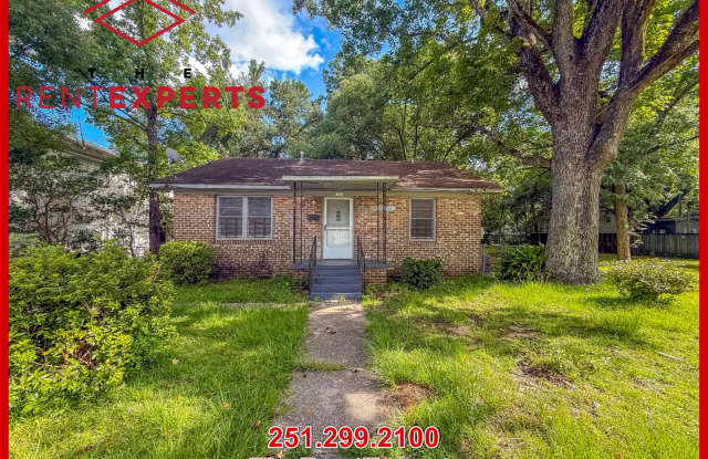 1701 Conti Street - 1701 Conti Street, Mobile, AL 36604