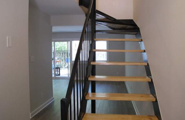 220 Elizabeth Street Gallery 2