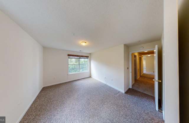 2806 CLEAR SHOT Drive Gallery 3