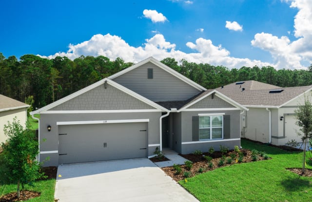 118 Birch Tree Pl - 118 Birch Tree Pl, Volusia County, FL 32117