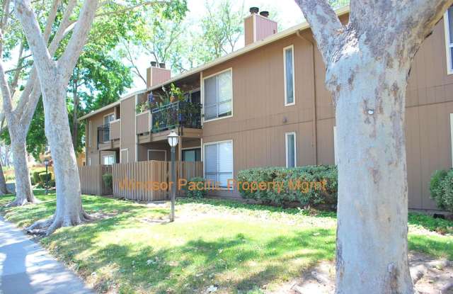 NEW PRICE ! Updated, Bright, Spacious & Clean! Excellent Location at The Vintner in San Ramon Gallery 3