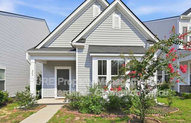 803 Lachicotte Creek Dr photos photos