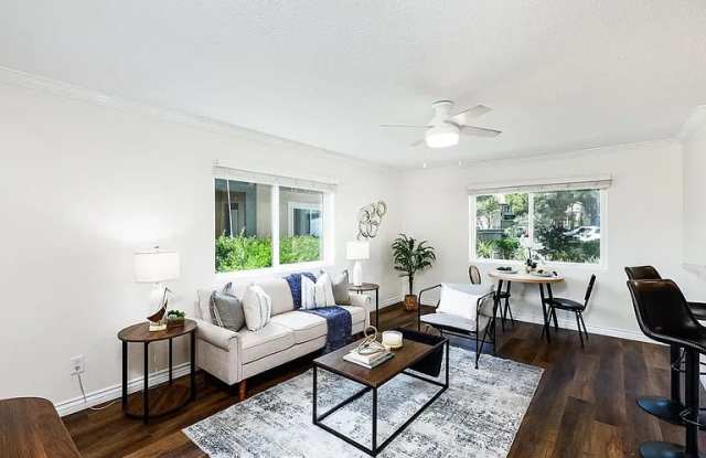 7597 Charmant Dr Gallery 4