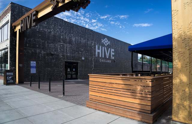 Mason at Hive photos photos