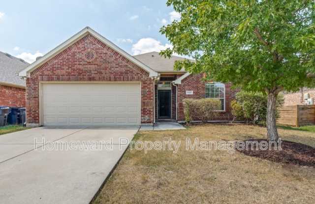 5137 Breeze Hollow Court - 5137 Breeze Hollow Court, Fort Worth, TX 76179