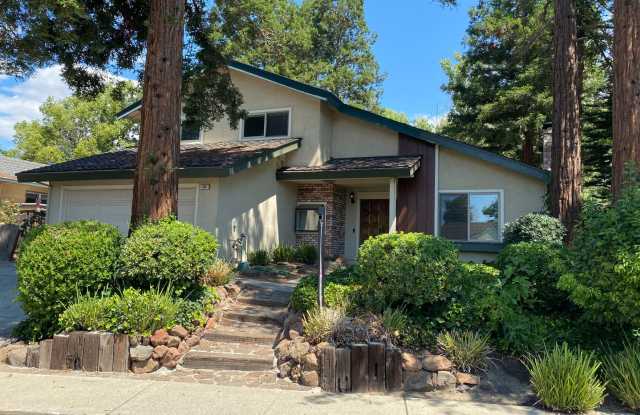 WONDERFUL CONCORD 4 BEDROOM HOME ON AN IDEAL TREE LINED STREET WITH NO REAR NEIGHBORS! photos photos