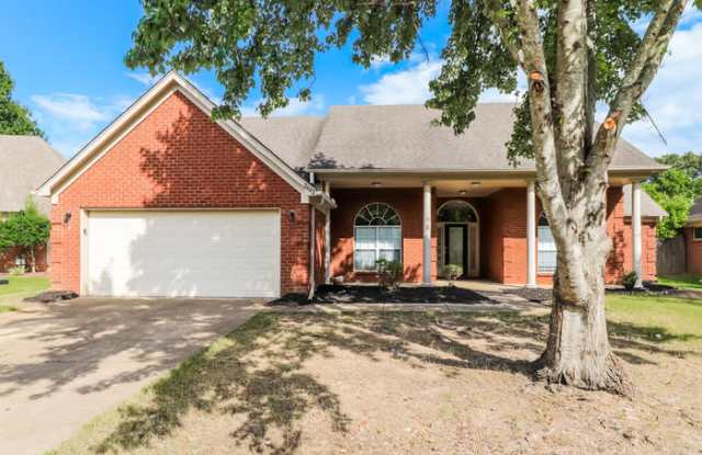 2402 Mason Drive photos photos