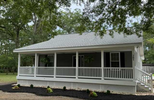 FULLY RENOVATED 3 BEDROOM FARMHOUSE - 205 Neck-O-Land Road, James City County, VA 23185