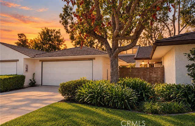 17284 Citron Gallery 1