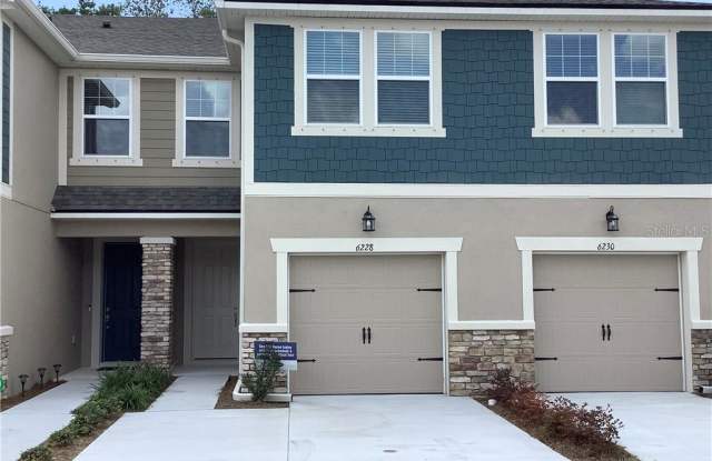 6228 SCARLET DARTER WAY - 6228 Scarlet Darter Way, Northdale, FL 33625
